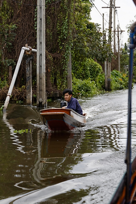 Talin chan-NOV13-086